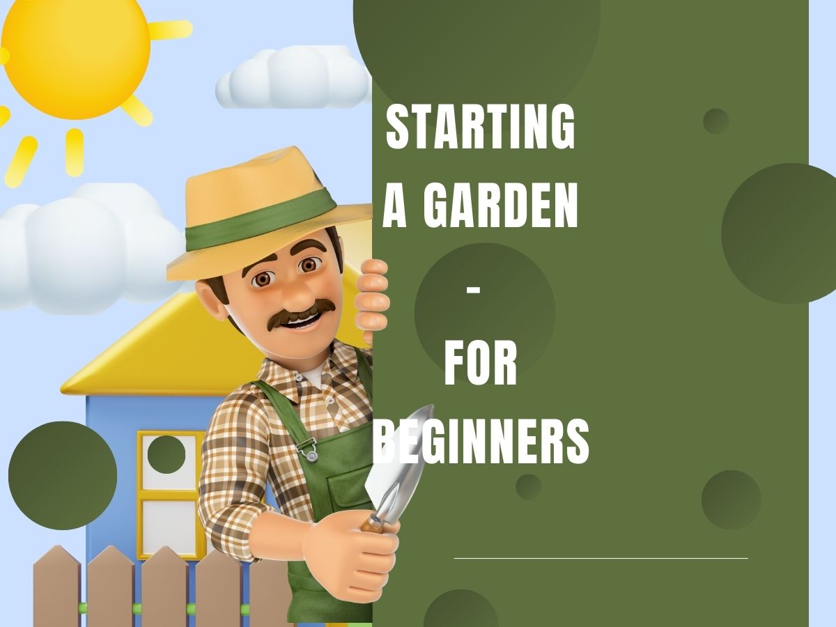 10 Gardening Tips for - Beginners